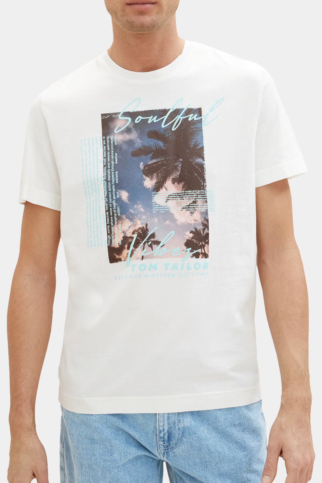 Tom Tailor - Men's T-shirts Printed