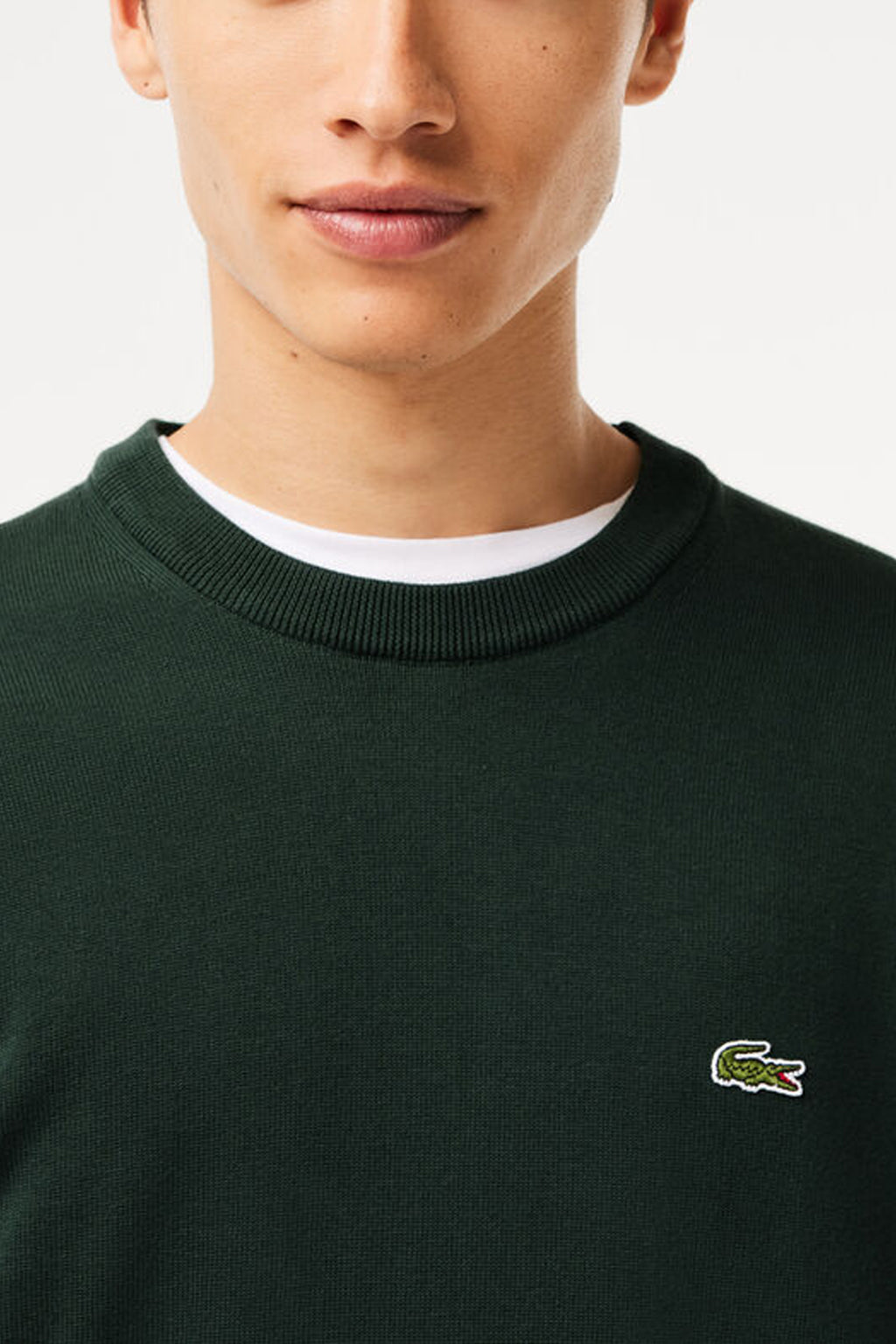 Lacoste - Organic Cotton Crew Neck Sweater