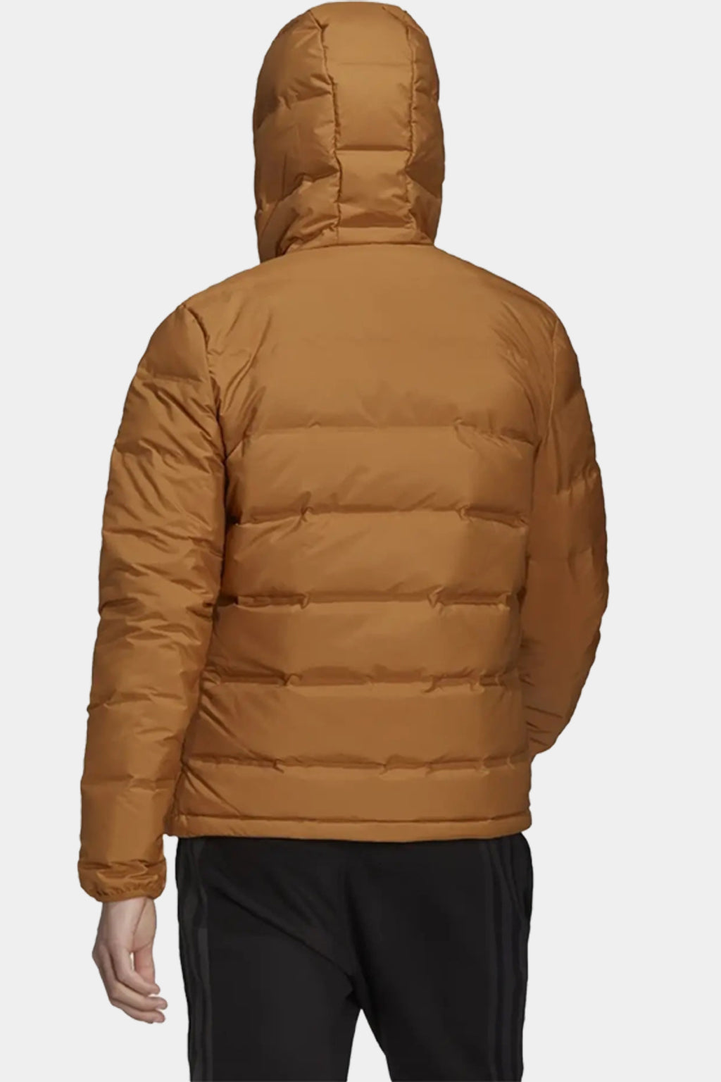 Adidas - Helionic Hooded Down Jacket