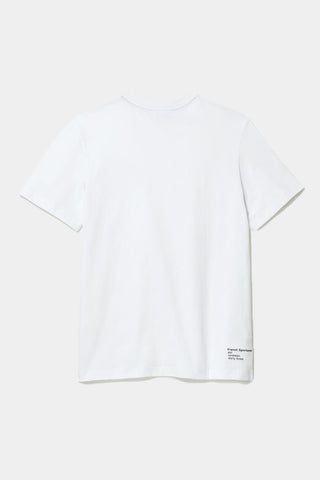 Lacoste - Regular Fit Cotton Jersey T-shirt
