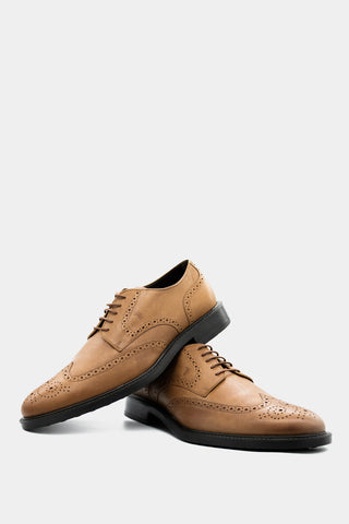Tod's - Men's Biscuit Derby With Brogue Motif