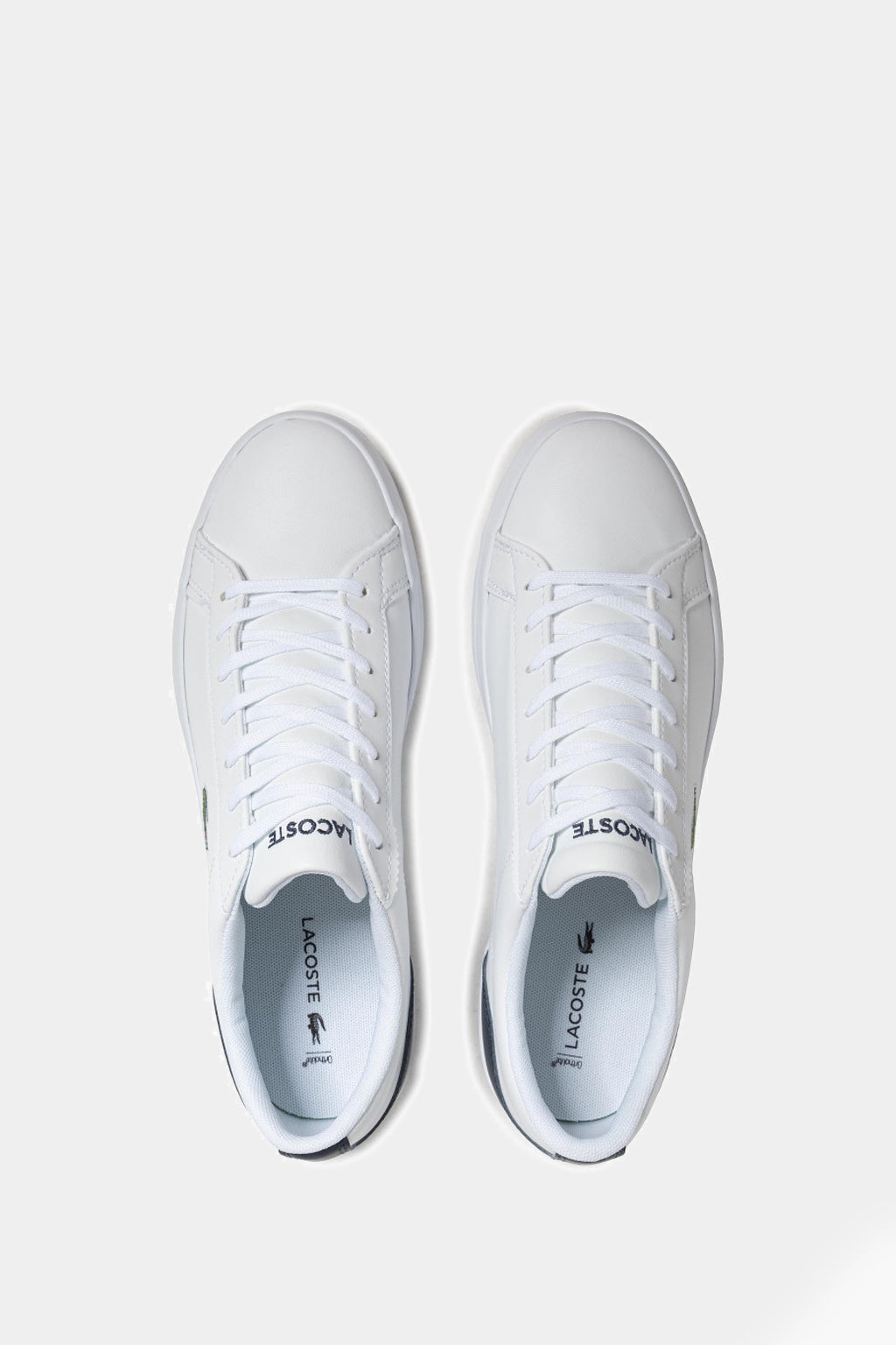 Lacoste - Lacoste - Lerond BL 21 1 Cma Men's White - Navy Sneaker