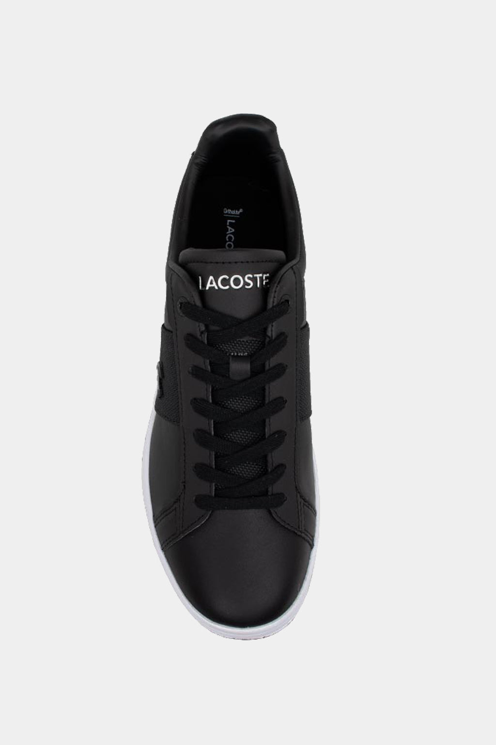 Lacoste - Men's Sneaker Carnaby Pro